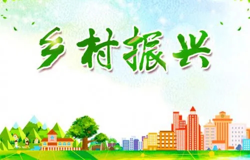 乡村振兴战略的基本原则是什么？具体有这七大原则！